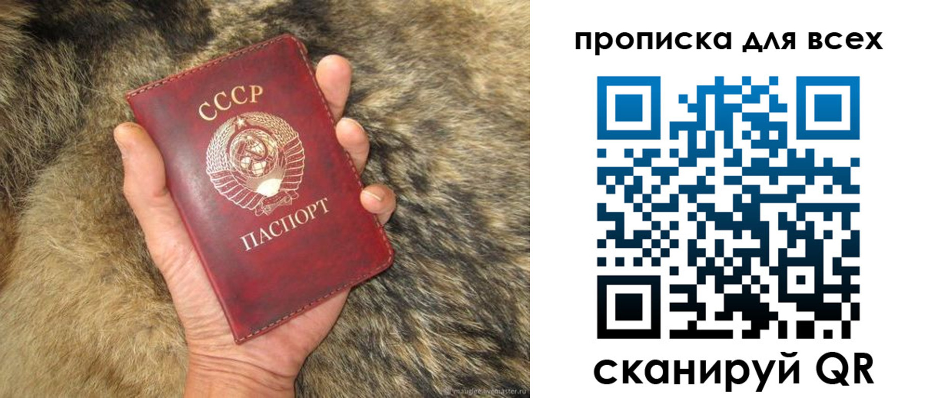 прописка в квартире в Истре